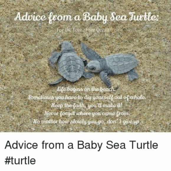 NWT, SS ring baby sea turtle ring, handmade by me - Picture 4 of 8