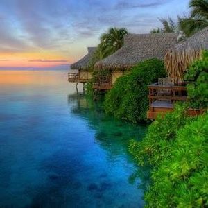 Meet your Posher, Gretchen