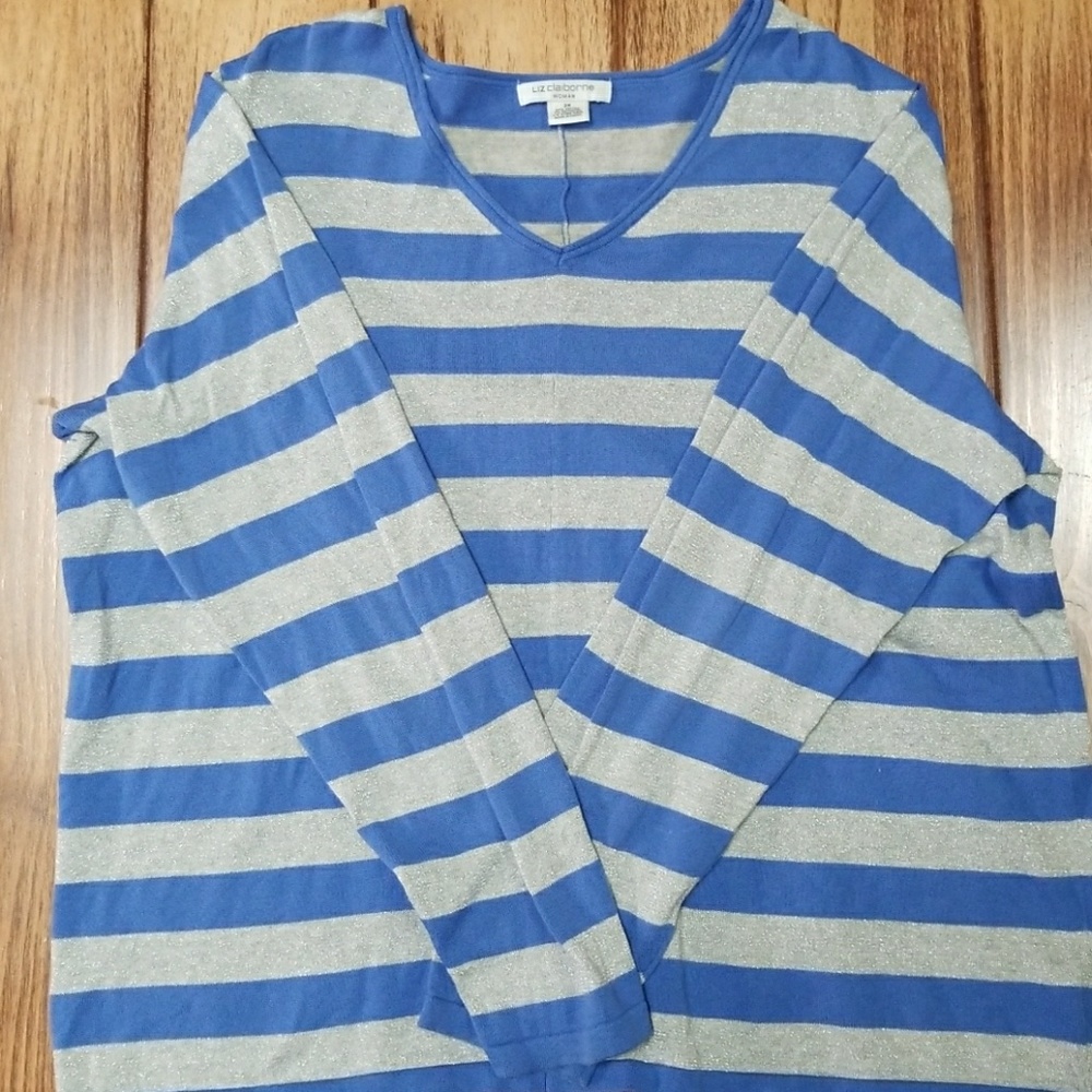 Blue and silver sweater