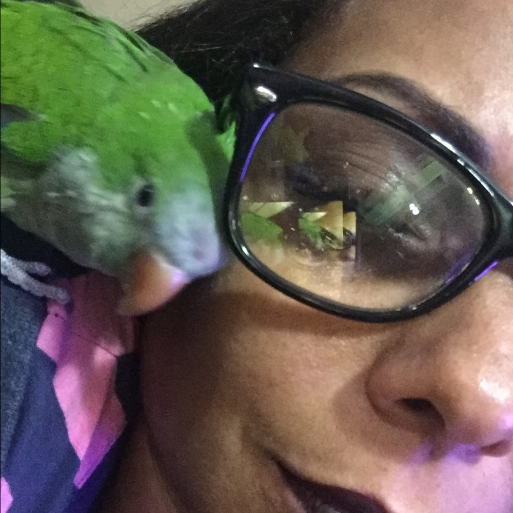 Meet your Posher, Isabel