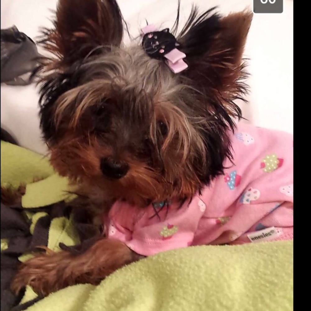 Meet your Posher, Beverly