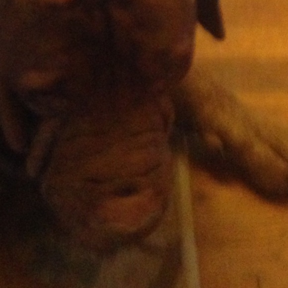 Meet your Posher, Ben - Picture 1 of 1