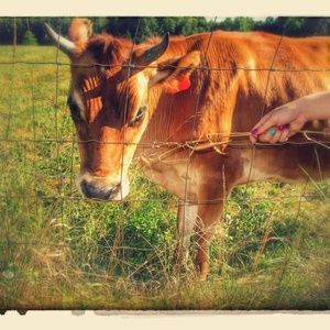 Meet your Posher, Maddy