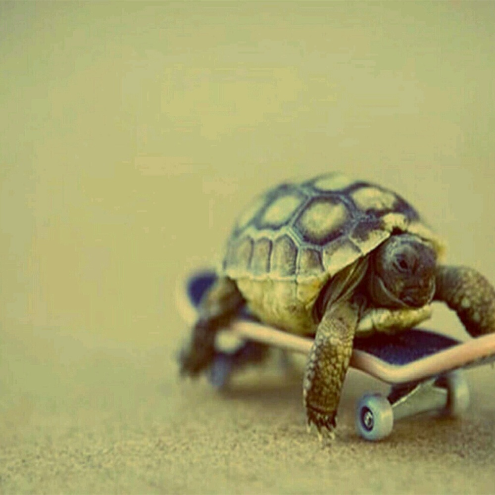 Meet your Posher, Mikayla