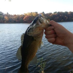 Meet your Posher, Cameron