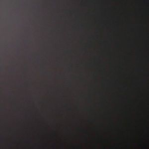 Meet your Posher, Cheyenne