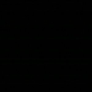 Meet your Posher, Amii