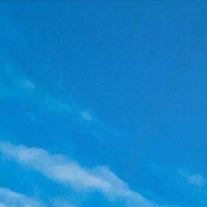 Meet your Posher, Brock