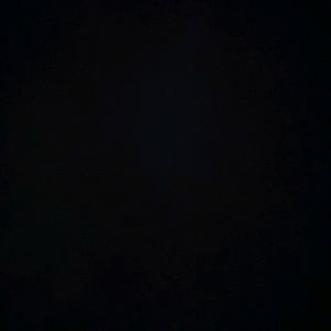 Meet your Posher, Timothy