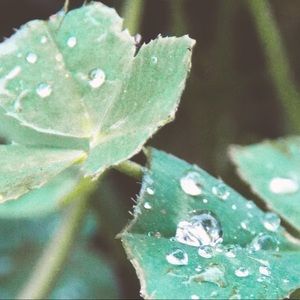 Meet your Posher, Audrey