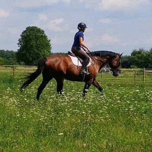 Meet your Posher, Kelly