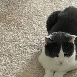 Meet your Posher, Sheila