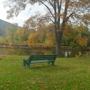 Meet your Posher, Janine