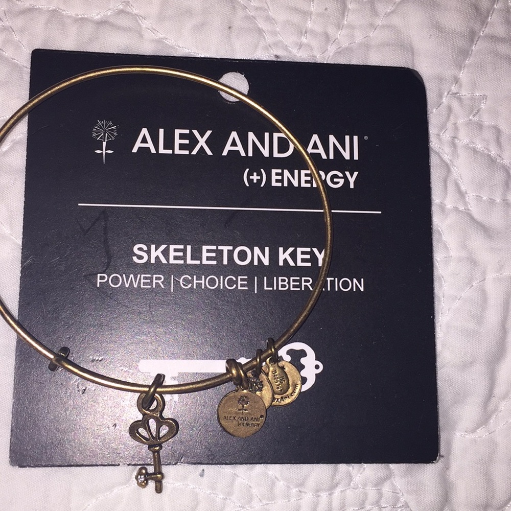 SKELETON KEY Alex and Ani