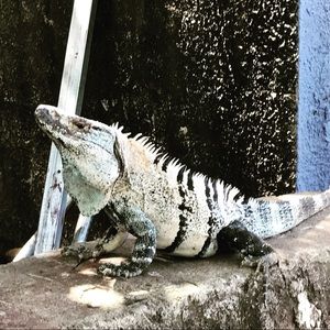 Meet your Posher, Jamie