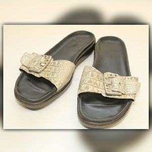 ☆ DONALD J PLINER ☆