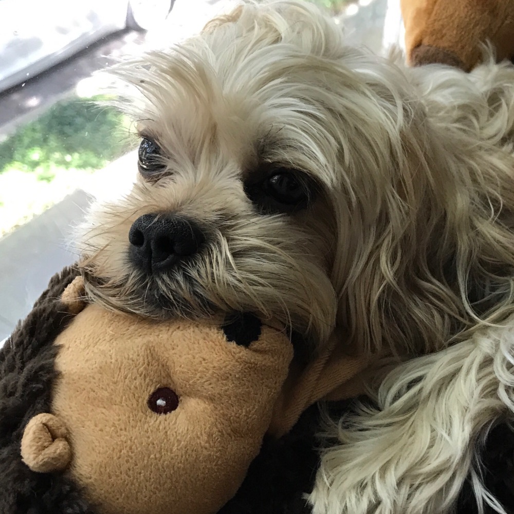 Meet your Posher, Kelly