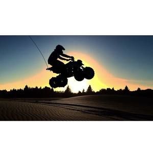 Meet your Posher, William