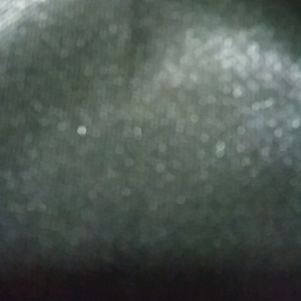 Meet your Posher, Betty