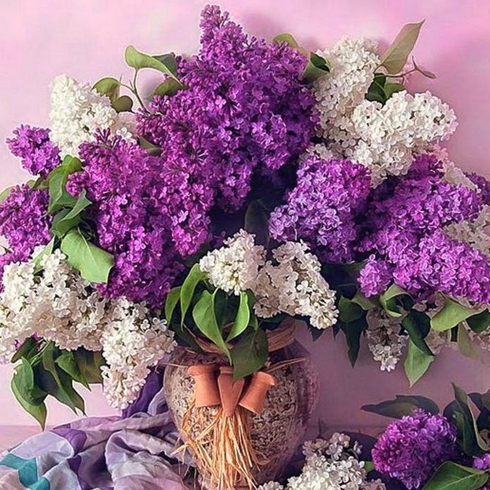 Meet your Posher, Maya