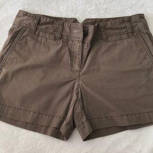 Ann Taylor LOFT Brown Cargo Short