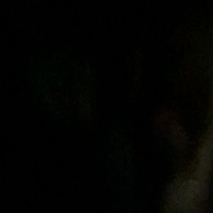 Meet your Posher, Bri