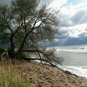 Meet your Posher, Evelyn