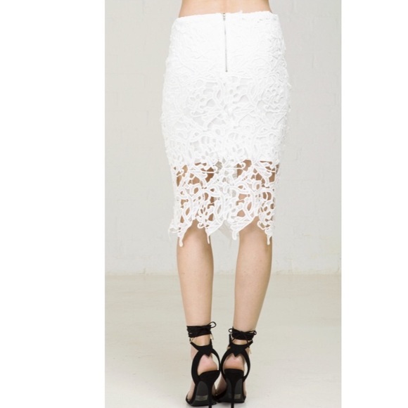 ❌SOLD❌NWT ANGL Vine Crochet Lace Pencil Skirt - Picture 2 of 2