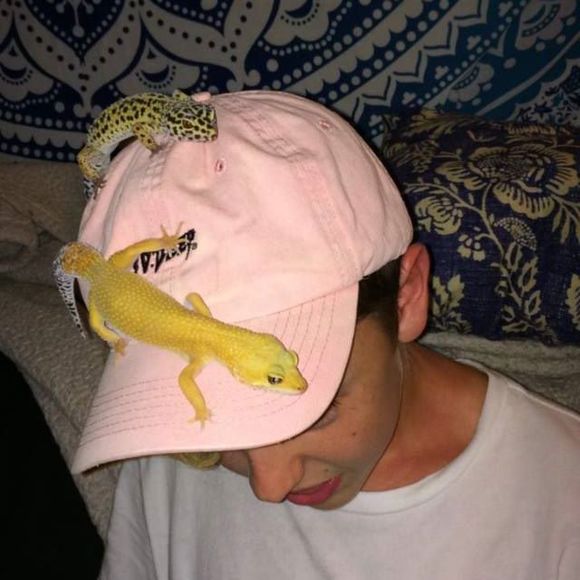 Meet your Posher, James - Picture 1 of 1