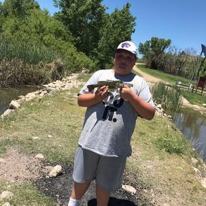 Meet your Posher, Blake