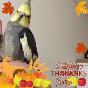 Meet your Posher, Lauretta