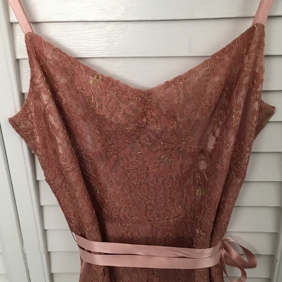 Ann Taylor pink dress with gold lace - Picture 4 of 4