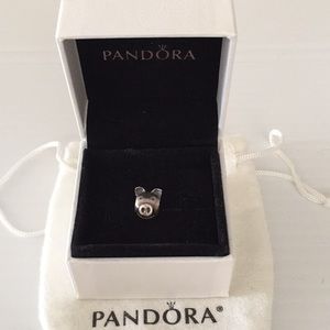 Pandora pig bead