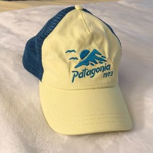 Patagonia Snap Back