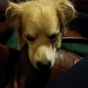 Meet your Posher, Janice