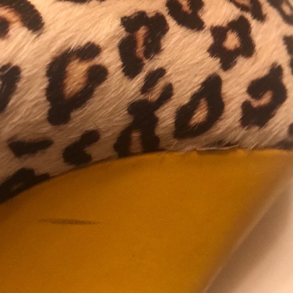 Shoes - Picture 7 of 8