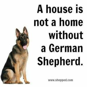 Meet your Posher, Terry