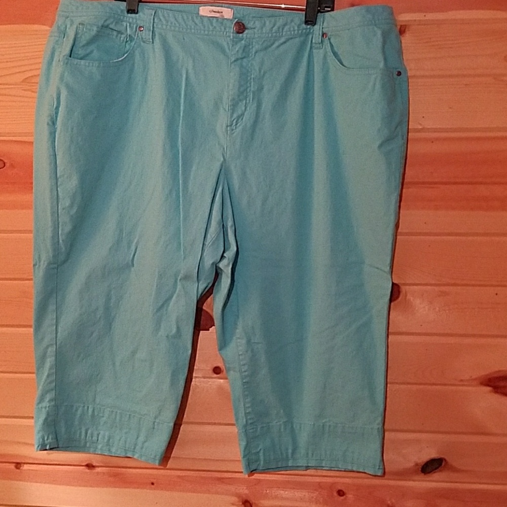 Teal capris size 22W