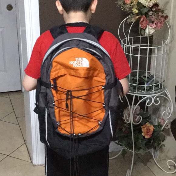 The North Face Handbags - The North Face Borealis Backpack