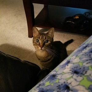 Meet your Posher, Patricia