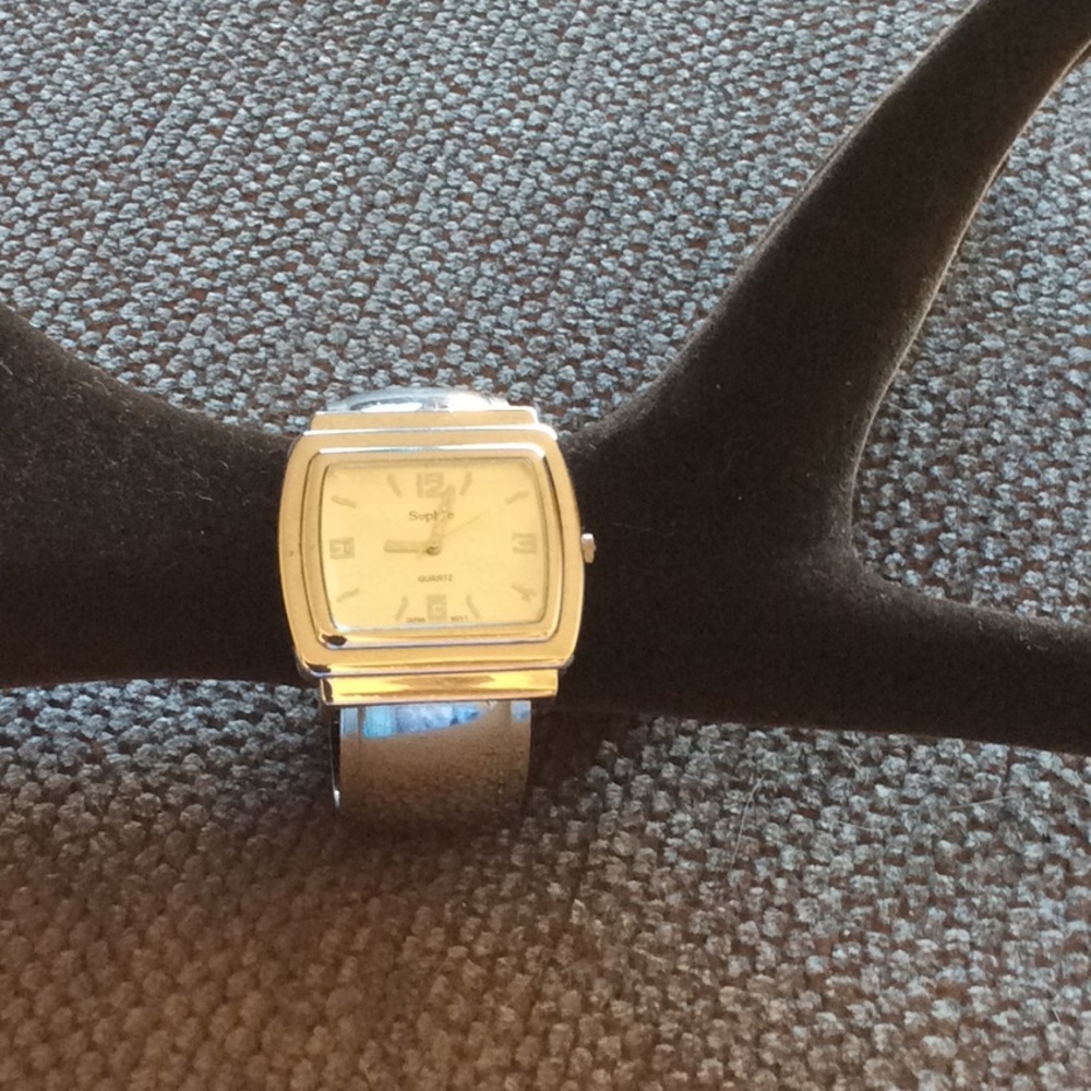 Sliver watch