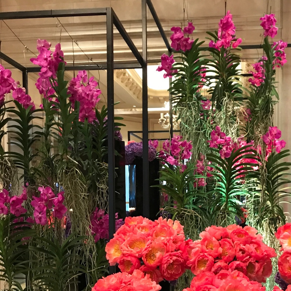 Meet your Posher, Vivian