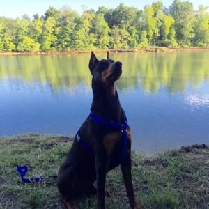 Meet your Posher, Aiyana