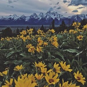 Meet your Posher, Corina