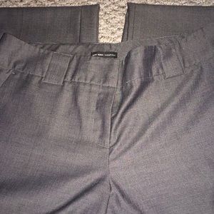 New York and company dress pants