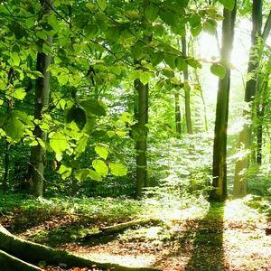 Meet your Posher, Moises