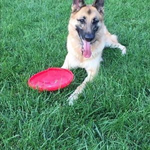 Meet your Posher, Eric