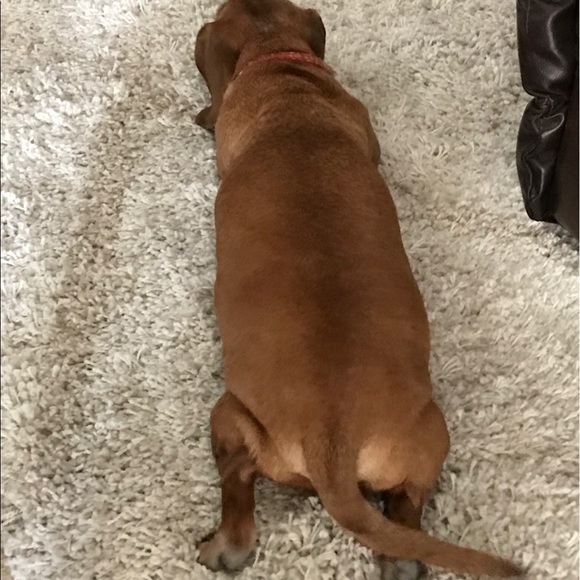 Meet your Posher, Joyce - Picture 1 of 1