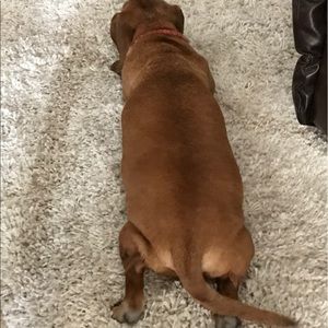 Meet your Posher, Joyce