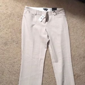 Express columnist pants size 6R